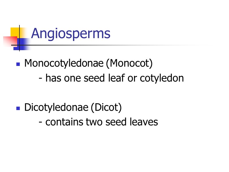 Angiosperms Monocotyledonae (Monocot)   - has one seed leaf or cotyledon  Dicotyledonae